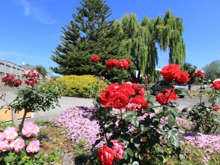 Waiuku Motel Eksteriør bilde